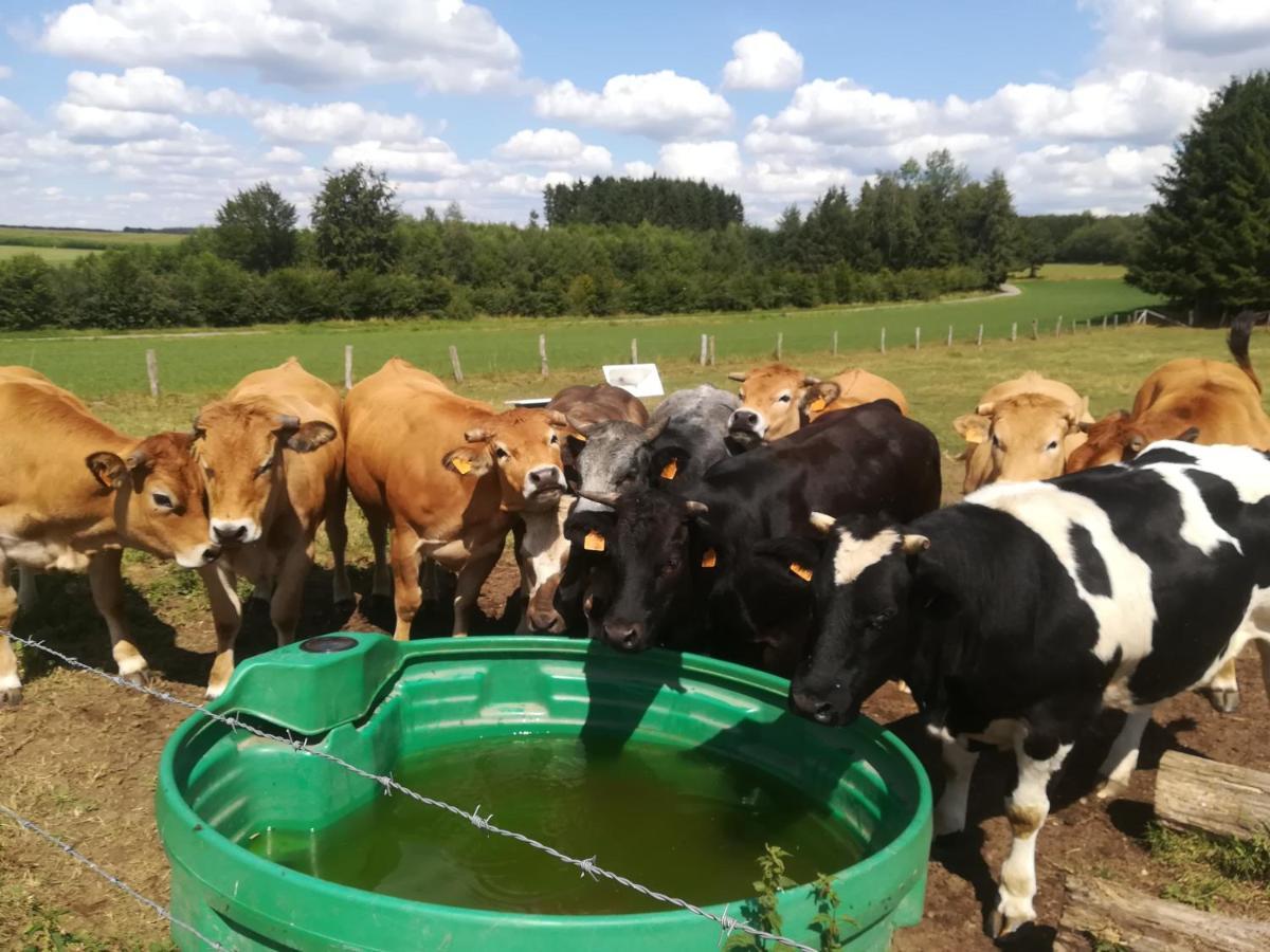 La Ferme Oubliee Villa Paliseul Exteriör bild