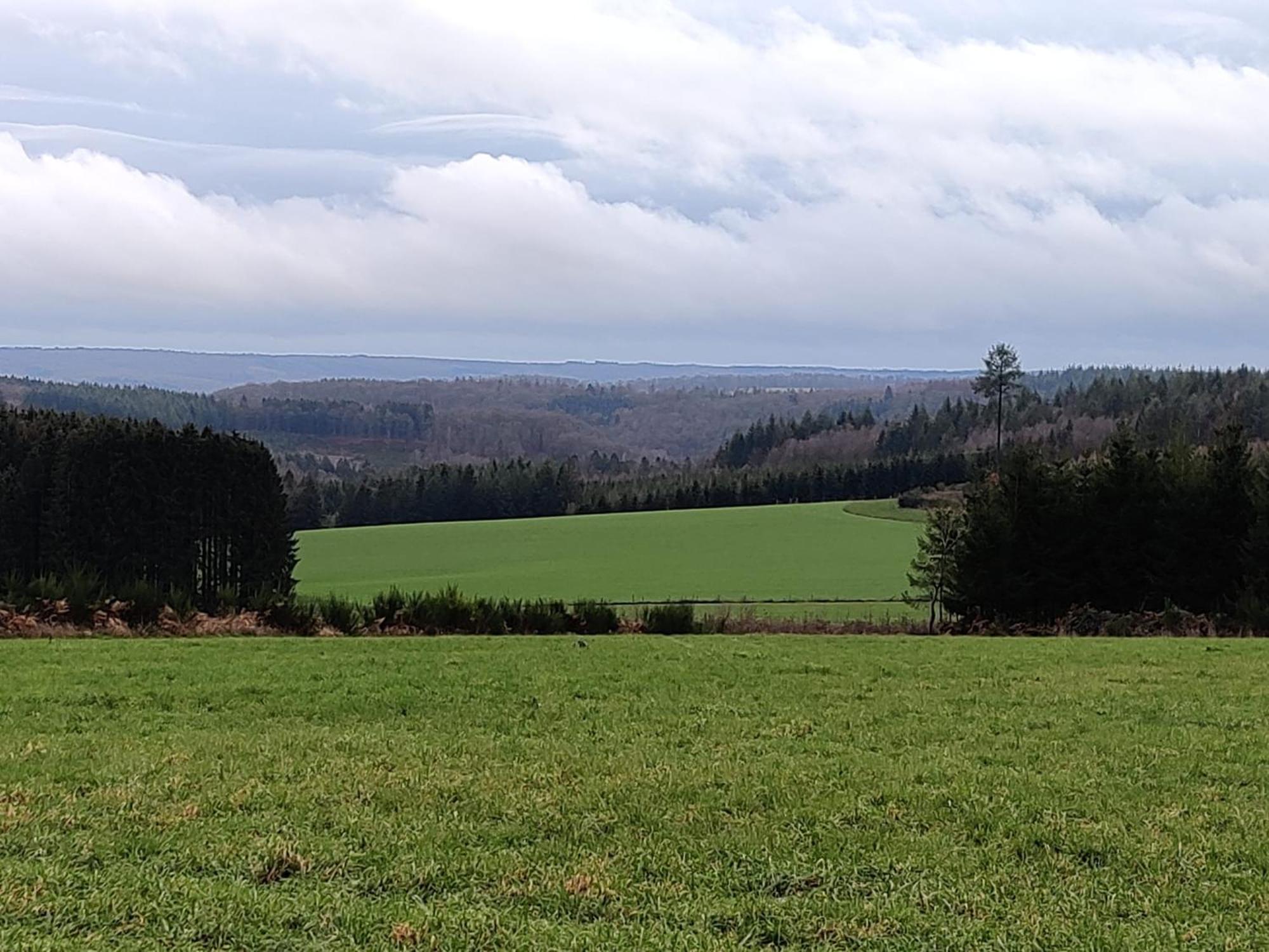 La Ferme Oubliee Villa Paliseul Exteriör bild